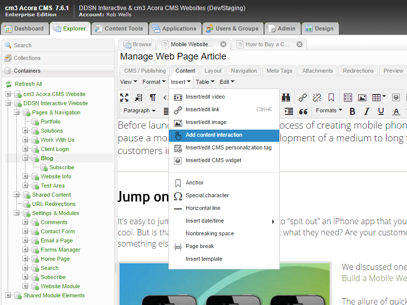 A cropped screenshot of part of the cm3 Acora CMS page development toolkit.